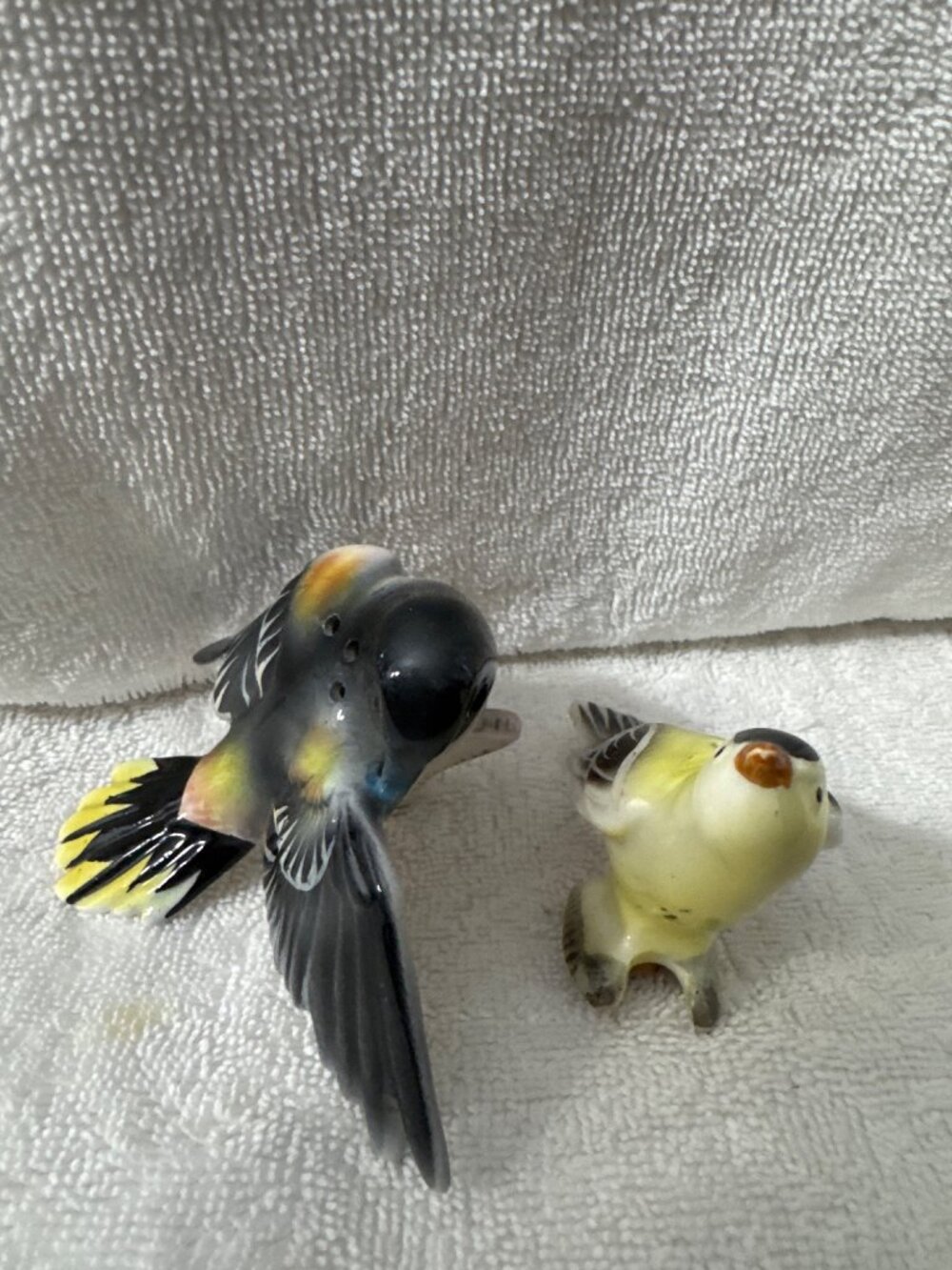 Novelty Salt & Pepper Shakers with Damage flea bite on large bird